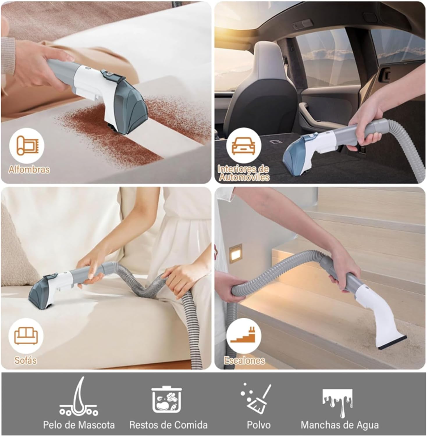 Limpiador de Alfombra y Tapicería